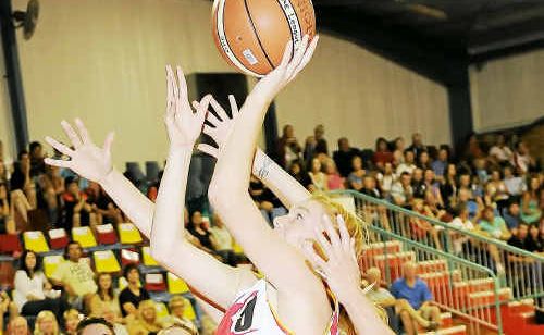 Aimee Durbidge, the point scoring machine of the Coffs Harbour Suns, in action. Aimee Durbidge, the point scoring machine of the Coffs Harbour Suns, in action.